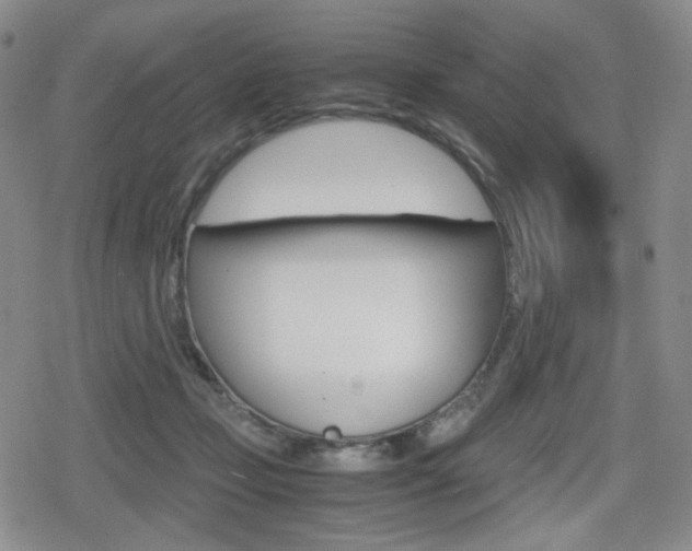 X0000080160365200612081033