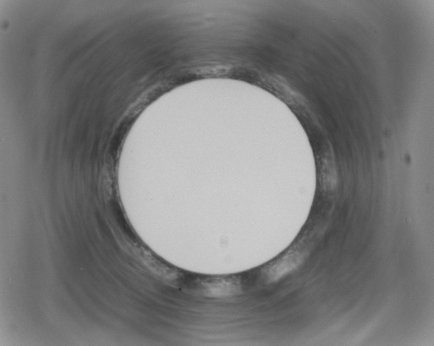 X0000080160370200612081033