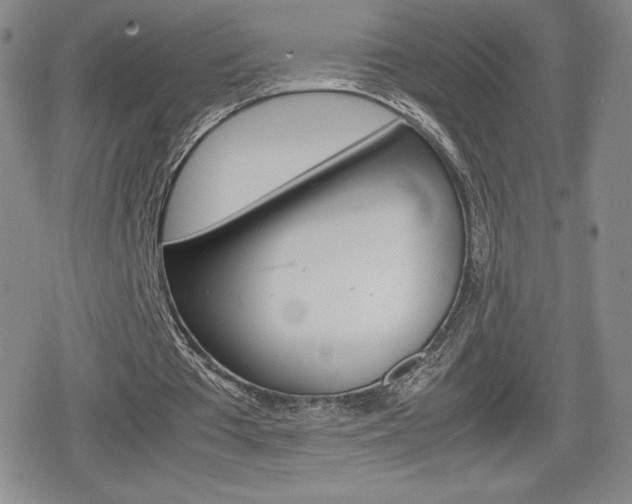 X0000080160385200612081032