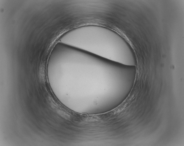 X0000080160386200612081032