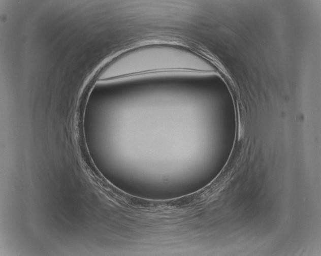 X0000080160387200612081032