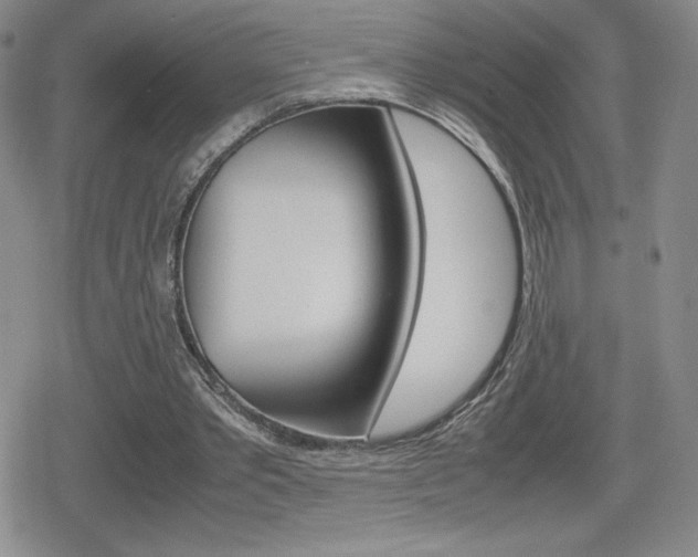 X0000080160389200612081032