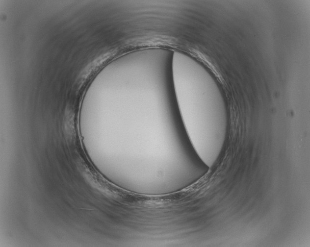 X0000080160394200612081032
