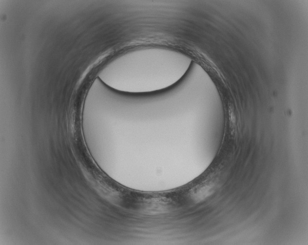 X0000080160396200612081032