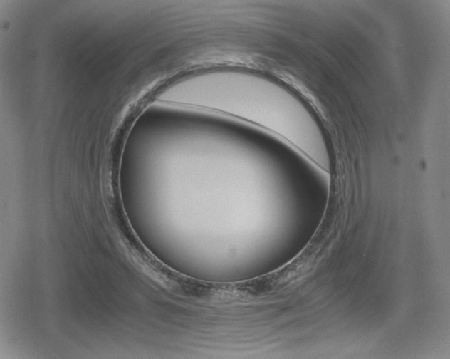 X0000080160399200612081032