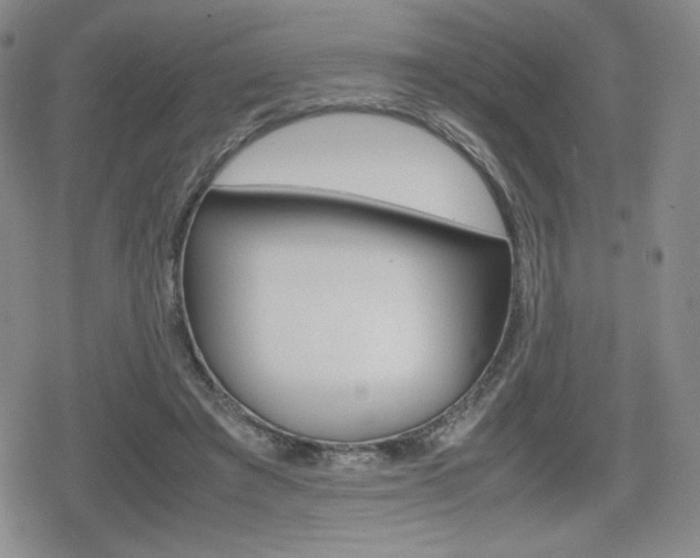 X0000080160401200612081032