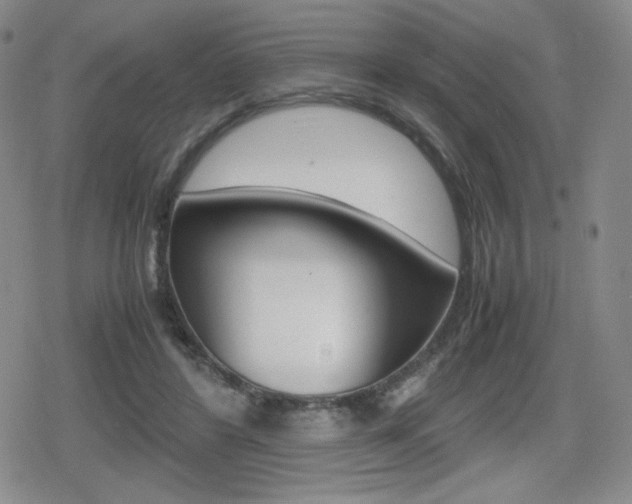 X0000080160404200612081032