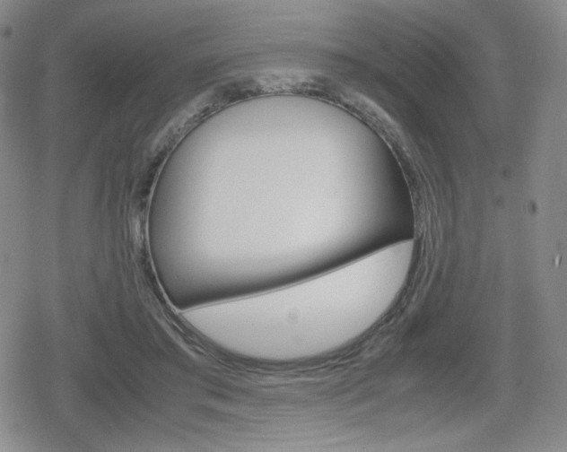 X0000080160405200612081032