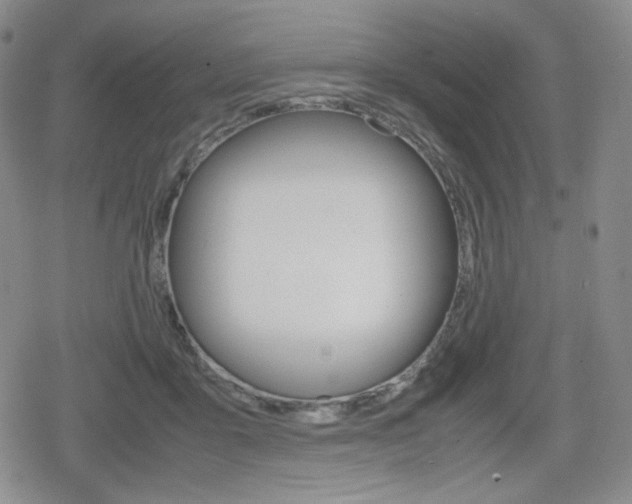 X0000080160411200612081032