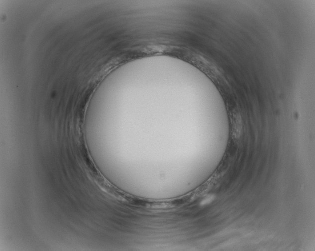X0000080160414200612081032