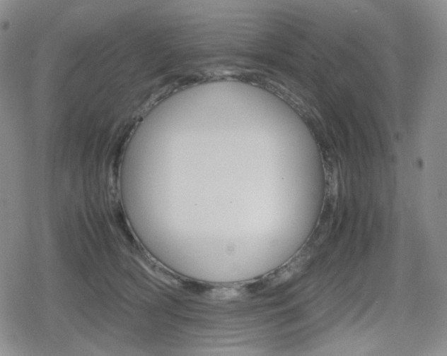 X0000080160418200612081032
