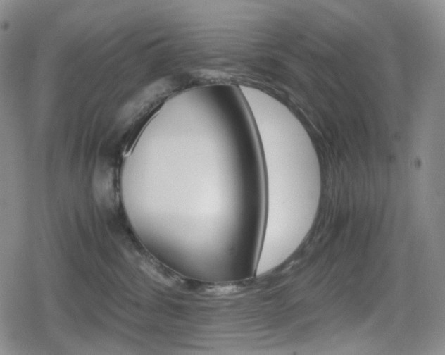 X0000080160428200612081032