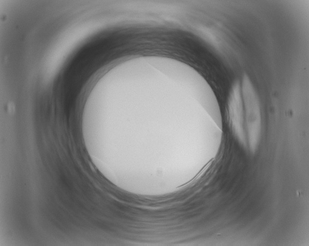 X0000080160431200612081032