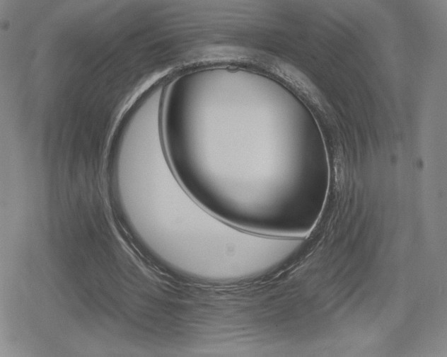 X0000080160436200612081031
