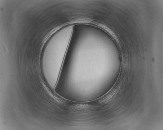 X0000080160437200612081031