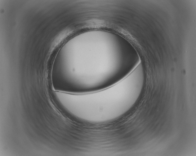 X0000080160440200612081031