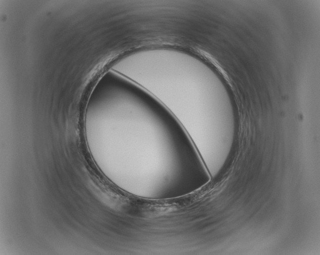 X0000080160443200612081031