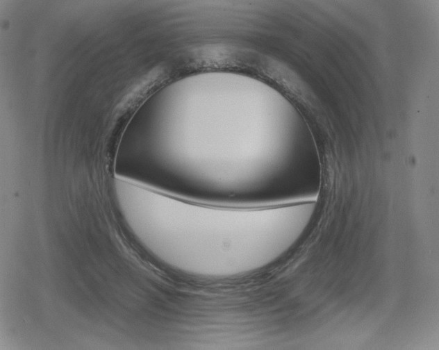 X0000080160450200612081031