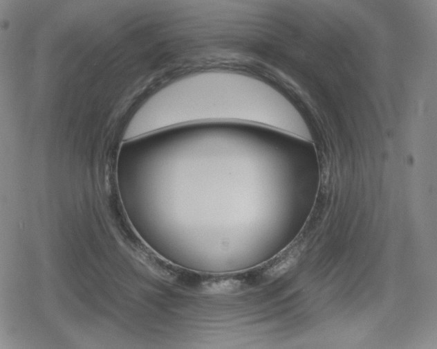 X0000080160452200612081031