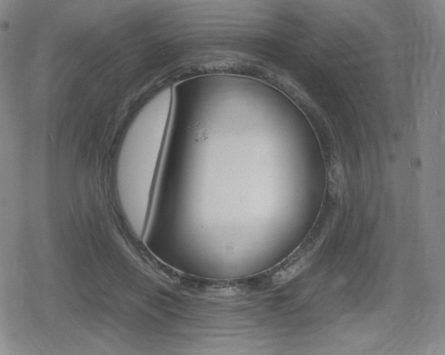 X0000080160454200612081031
