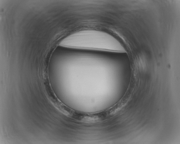 X0000080160455200612081031