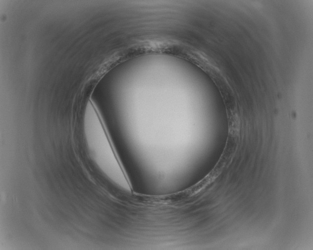 X0000080160456200612081031