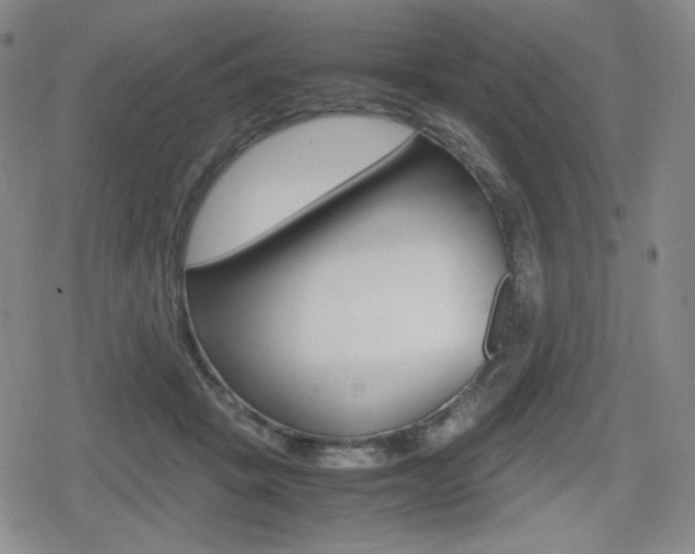 X0000080160457200612081031