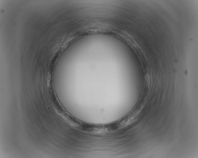 X0000080160458200612081031