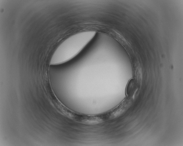 X0000080160459200612081031