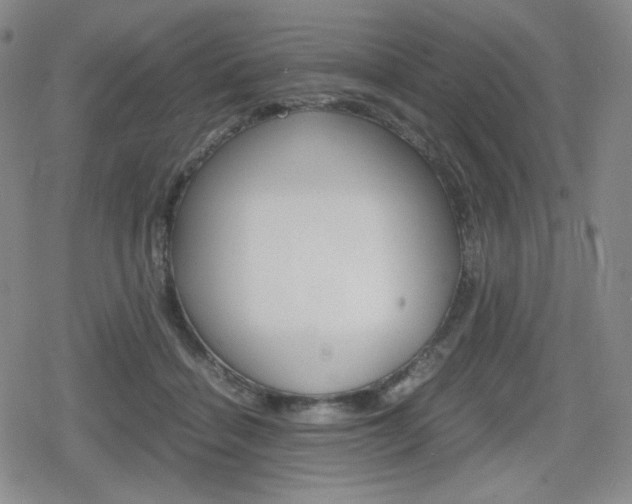 X0000080160460200612081031