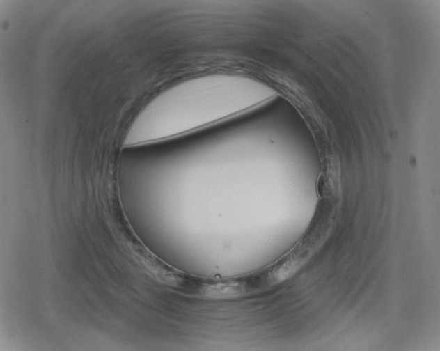 X0000080160461200612081031
