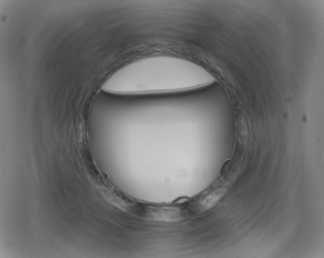 X0000080160463200612081031