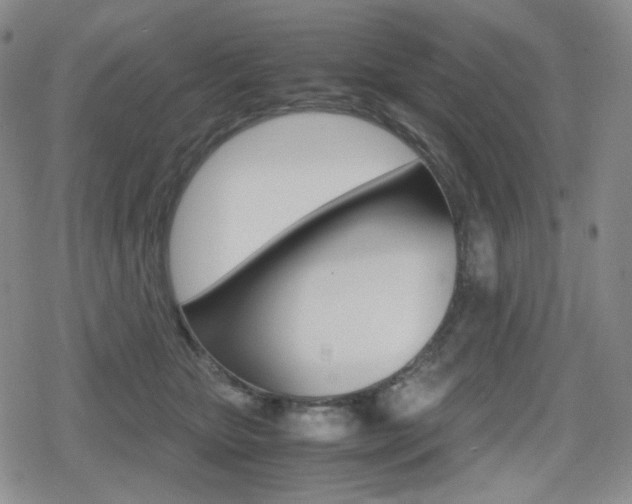 X0000080160467200612081031