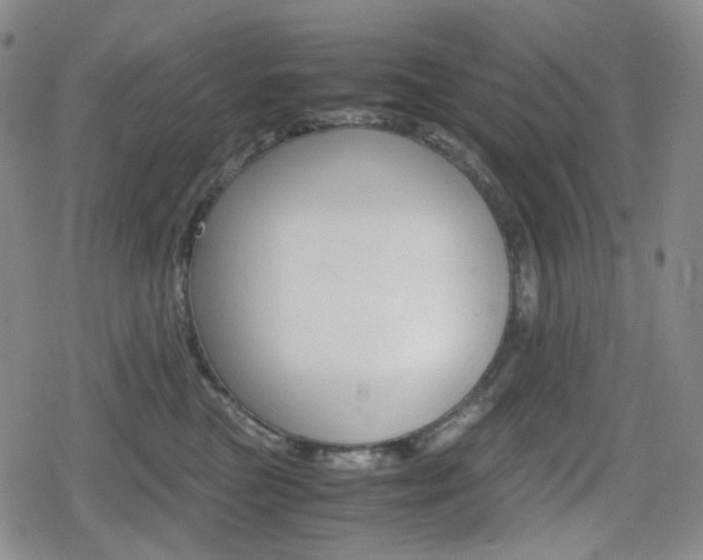 X0000080160473200612081032