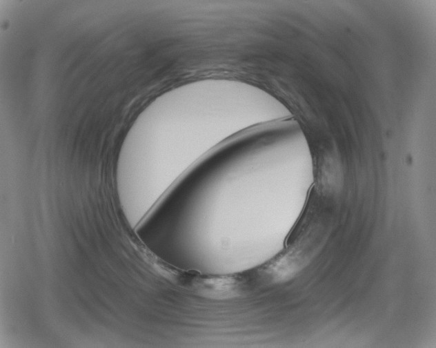 X0000080160478200612081032