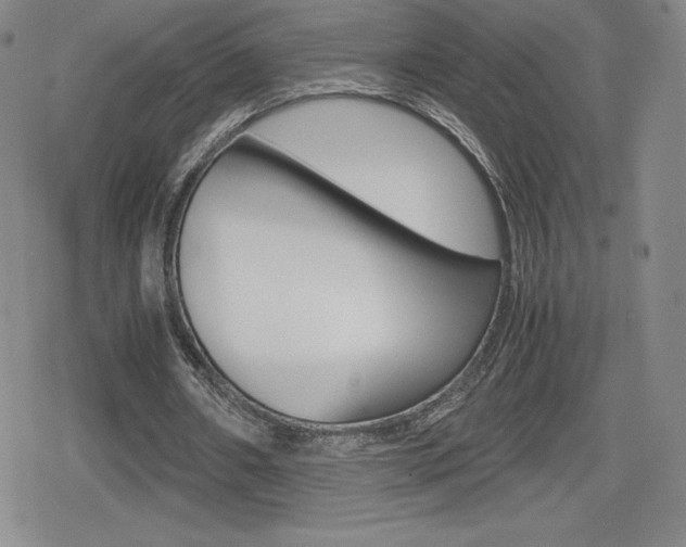 X0000080160482200612081031
