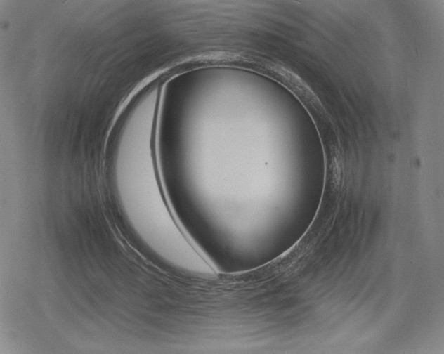 X0000080160484200612081031