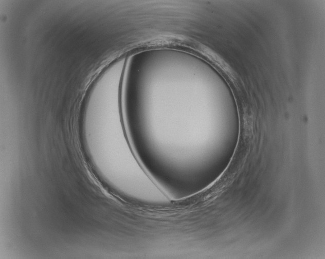 X0000080160485200612081031