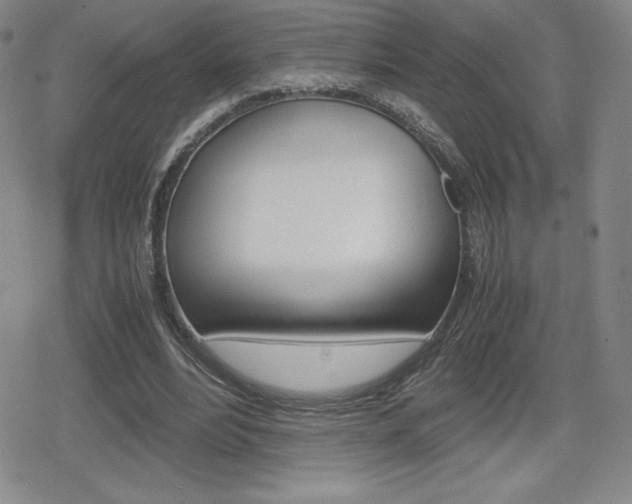 X0000080160488200612081031