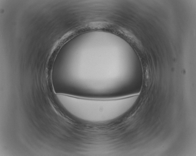 X0000080160492200612081031