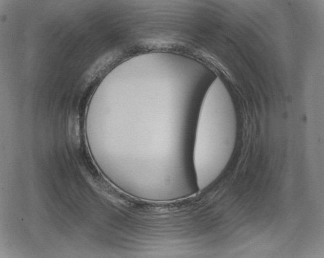 X0000080160494200612081031