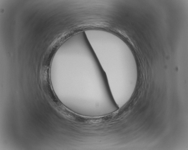 X0000080160495200612081031