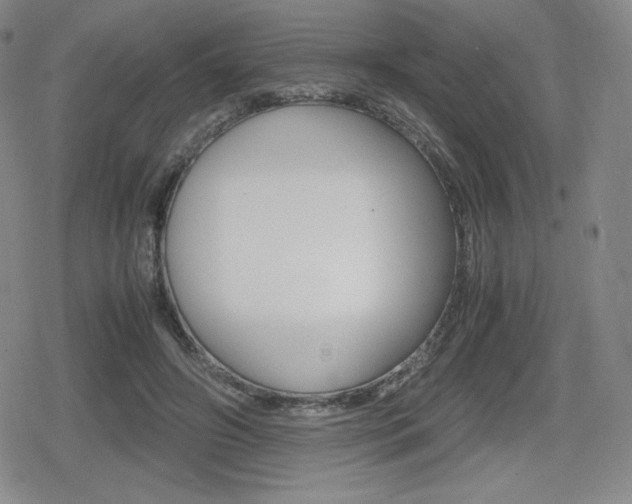 X0000080160498200612081031
