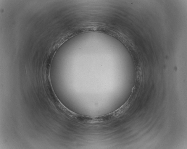 X0000080160504200612081030
