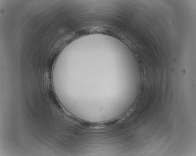 X0000080160506200612081030