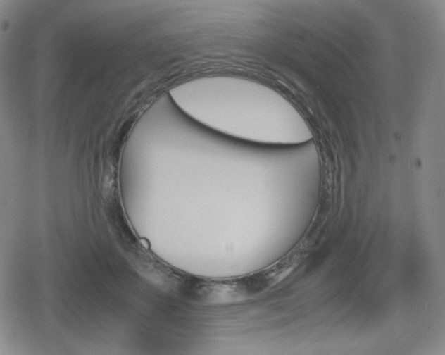 X0000080160507200612081030