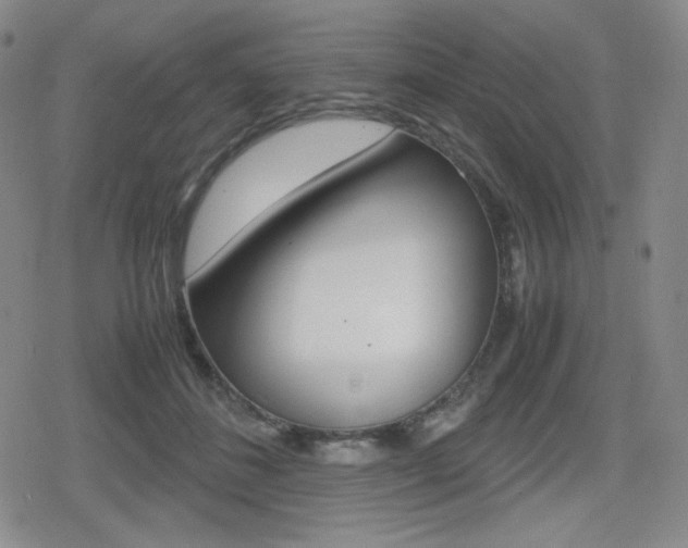 X0000080160508200612081030