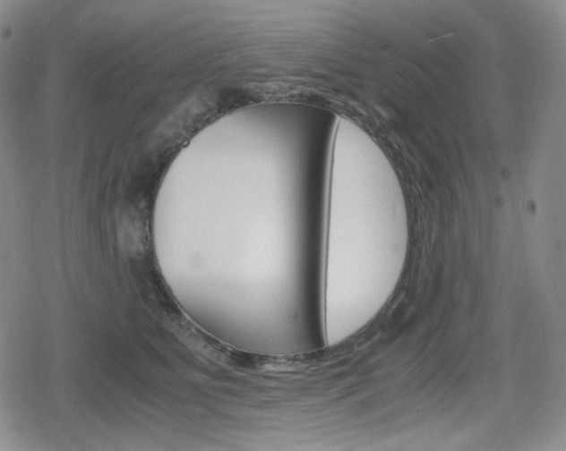 X0000080160515200612081030