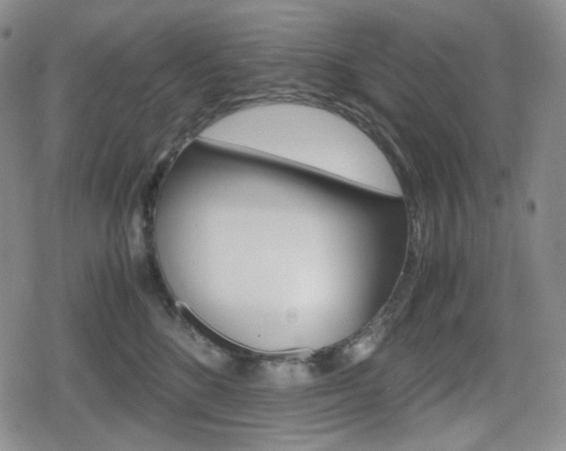X0000080160520200612081030