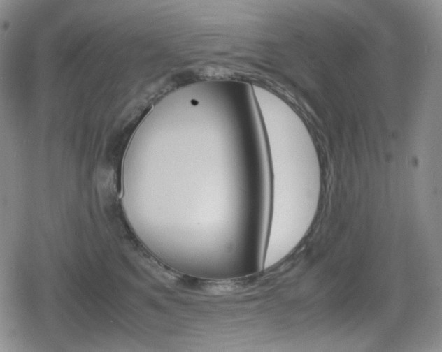X0000080160521200612081030
